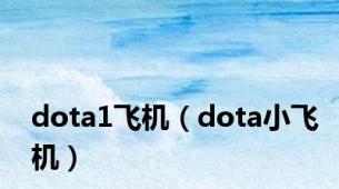 dota1飞机（dota小飞机）