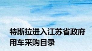 特斯拉进入江苏省政府用车采购目录