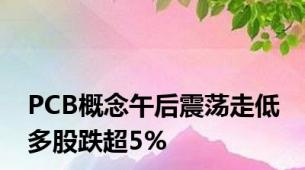 PCB概念午后震荡走低 多股跌超5%