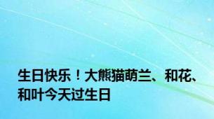 生日快乐！大熊猫萌兰、和花、和叶今天过生日