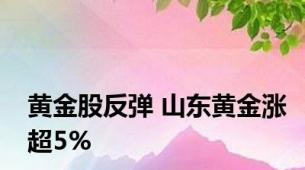 黄金股反弹 山东黄金涨超5%