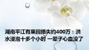 湖南平江有果园损失约400万：洪水浸泡十多个小时 一辈子心血没了