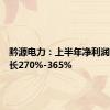 黔源电力：上半年净利润同比增长270%-365%