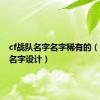 cf战队名字名字稀有的（cf战队名字设计）