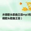 水调歌头歌曲王菲mp3形式（水调歌头歌曲王菲）