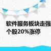 软件服务板块走强 多只个股20%涨停