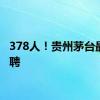 378人！贵州茅台最新招聘