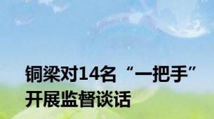 铜梁对14名“一把手”开展监督谈话