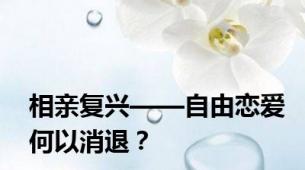 相亲复兴——自由恋爱何以消退？