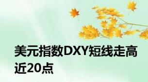 美元指数DXY短线走高近20点