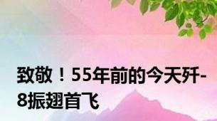 致敬！55年前的今天歼-8振翅首飞