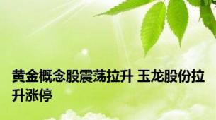 黄金概念股震荡拉升 玉龙股份拉升涨停