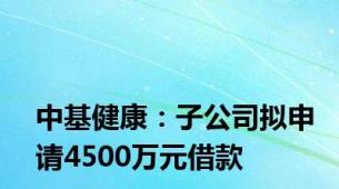 中基健康：子公司拟申请4500万元借款