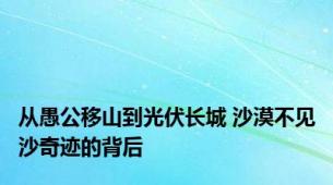 从愚公移山到光伏长城 沙漠不见沙奇迹的背后