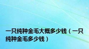 一只纯种金毛大概多少钱（一只纯种金毛多少钱）