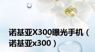 诺基亚X300曝光手机（诺基亚x300）