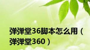 弹弹堂36脚本怎么用（弹弹堂360）