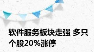 软件服务板块走强 多只个股20%涨停