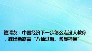 管清友：中国经济下一步怎么走没人教你，蹚出新路需“八仙过海、各显神通”