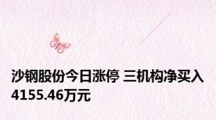 沙钢股份今日涨停 三机构净买入4155.46万元