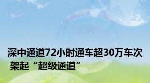 深中通道72小时通车超30万车次 架起“超级通道”