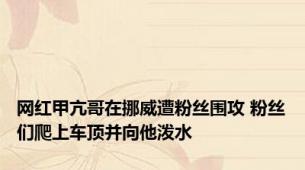 网红甲亢哥在挪威遭粉丝围攻 粉丝们爬上车顶并向他泼水