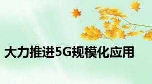 大力推进5G规模化应用