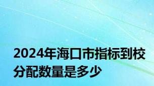 2024年海口市指标到校分配数量是多少