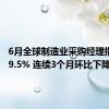 6月全球制造业采购经理指数为49.5% 连续3个月环比下降