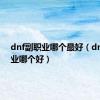 dnf副职业哪个最好（dnf副职业哪个好）