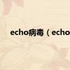 echo病毒（echo）