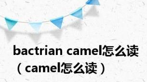 bactrian camel怎么读（camel怎么读）