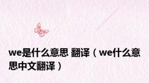 we是什么意思 翻译（we什么意思中文翻译）