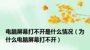 电脑屏幕打不开是什么情况（为什么电脑屏幕打不开）