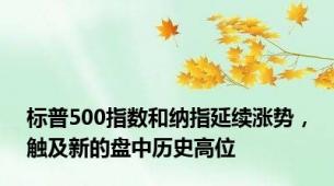 标普500指数和纳指延续涨势，触及新的盘中历史高位