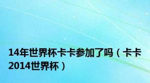 14年世界杯卡卡参加了吗（卡卡2014世界杯）