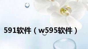 591软件（w595软件）