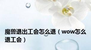 魔兽退出工会怎么退（wow怎么退工会）