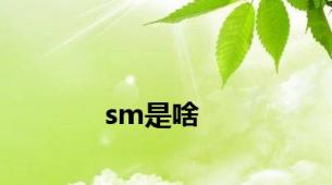 sm是啥