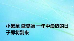 小暑至 盛夏始 一年中最热的日子即将到来