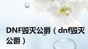 DNF毁灭公爵（dnf毁灭公爵）