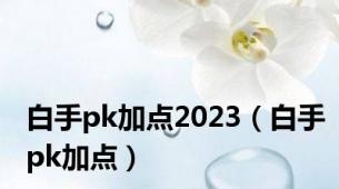 白手pk加点2023（白手pk加点）