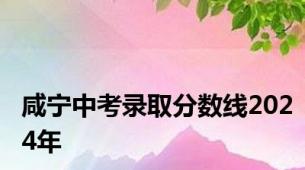 咸宁中考录取分数线2024年