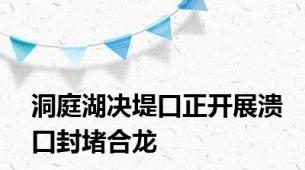 洞庭湖决堤口正开展溃口封堵合龙