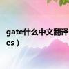 gate什么中文翻译（gates）