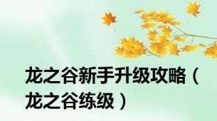 龙之谷新手升级攻略（龙之谷练级）