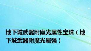 地下城武器附魔光属性宝珠（地下城武器附魔光属强）