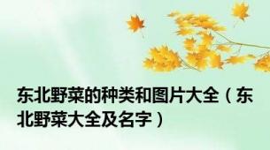 东北野菜的种类和图片大全（东北野菜大全及名字）