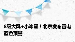 8级大风+小冰雹！北京发布雷电蓝色预警