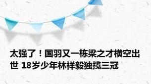 太强了！国羽又一栋梁之才横空出世 18岁少年林祥毅独揽三冠